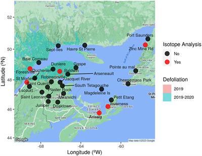 Characterizing eastern spruce budworm’s large-scale dispersal events through flight behavior and stable isotope analyses